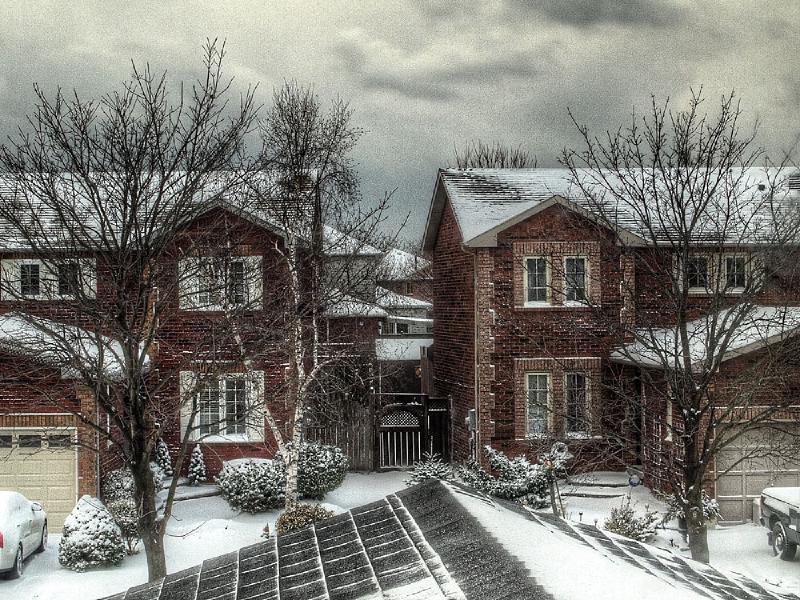 Winter View from Study.jpg